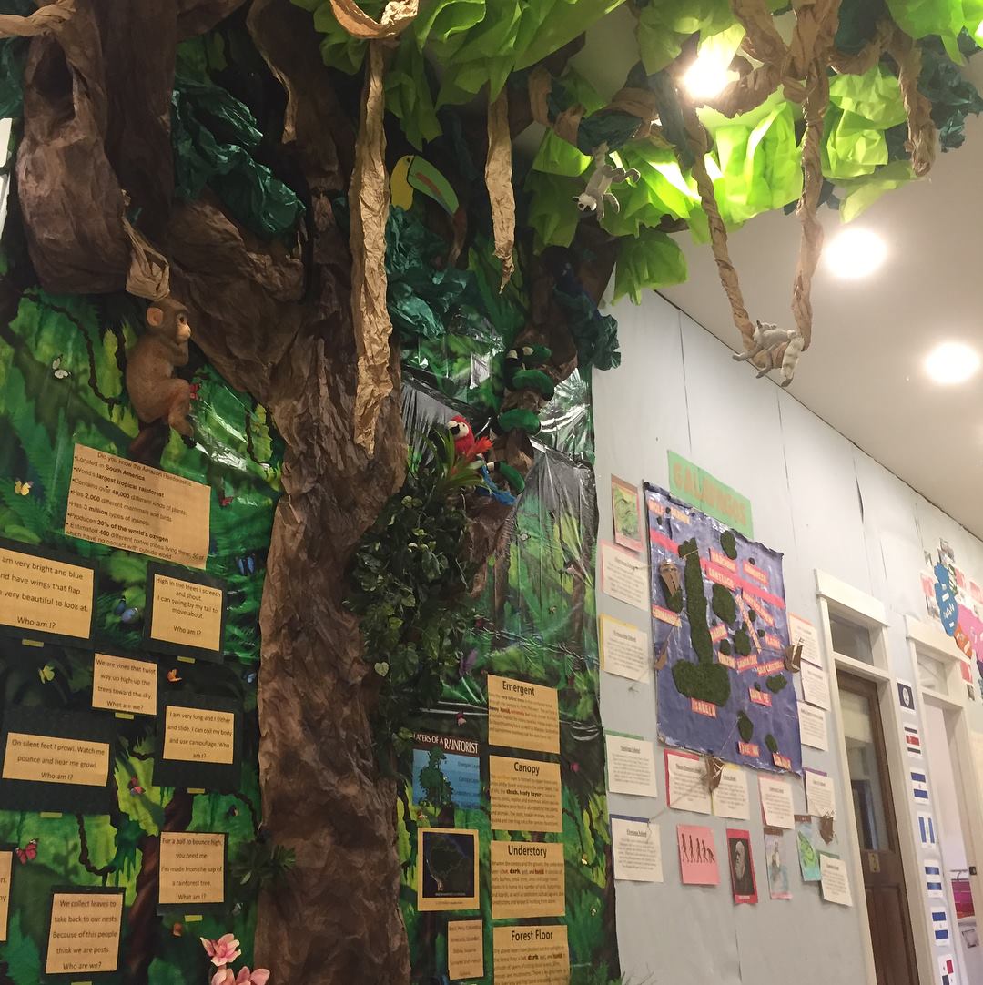 41992232_1915109051860734_391694562059354112_n