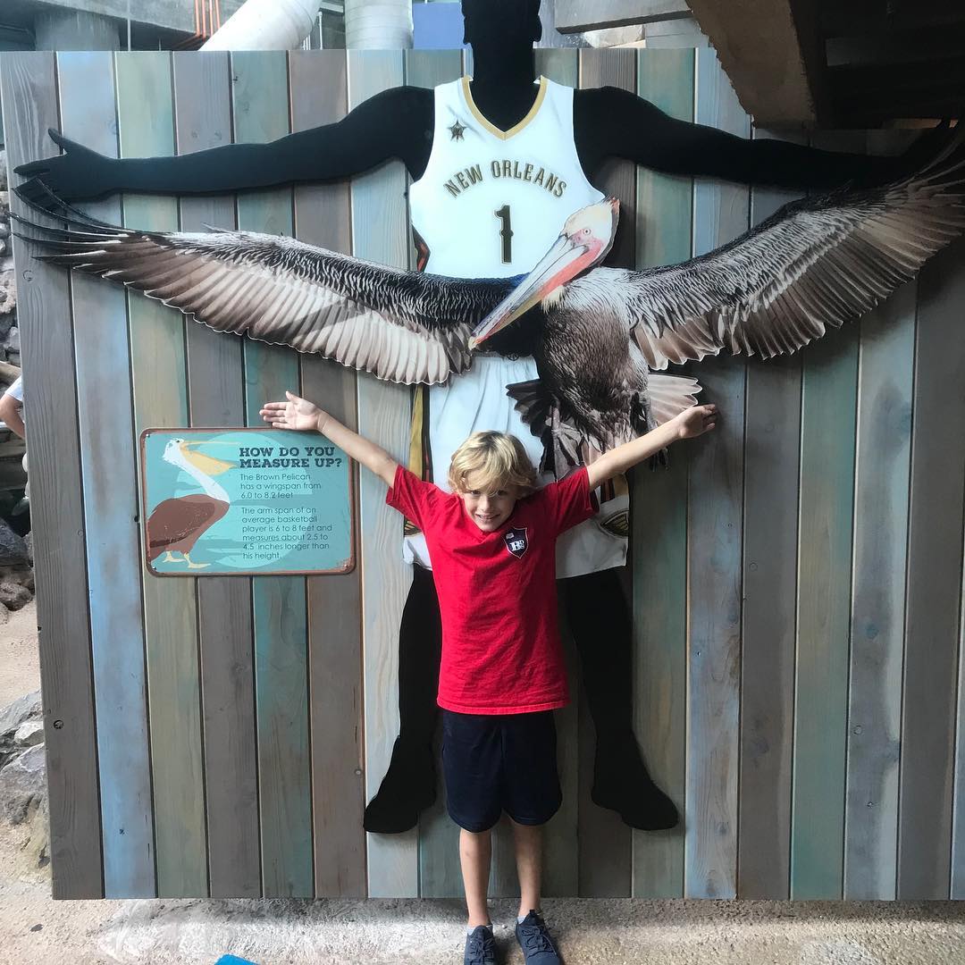 43371604_1937284202976552_361167764175454208_n