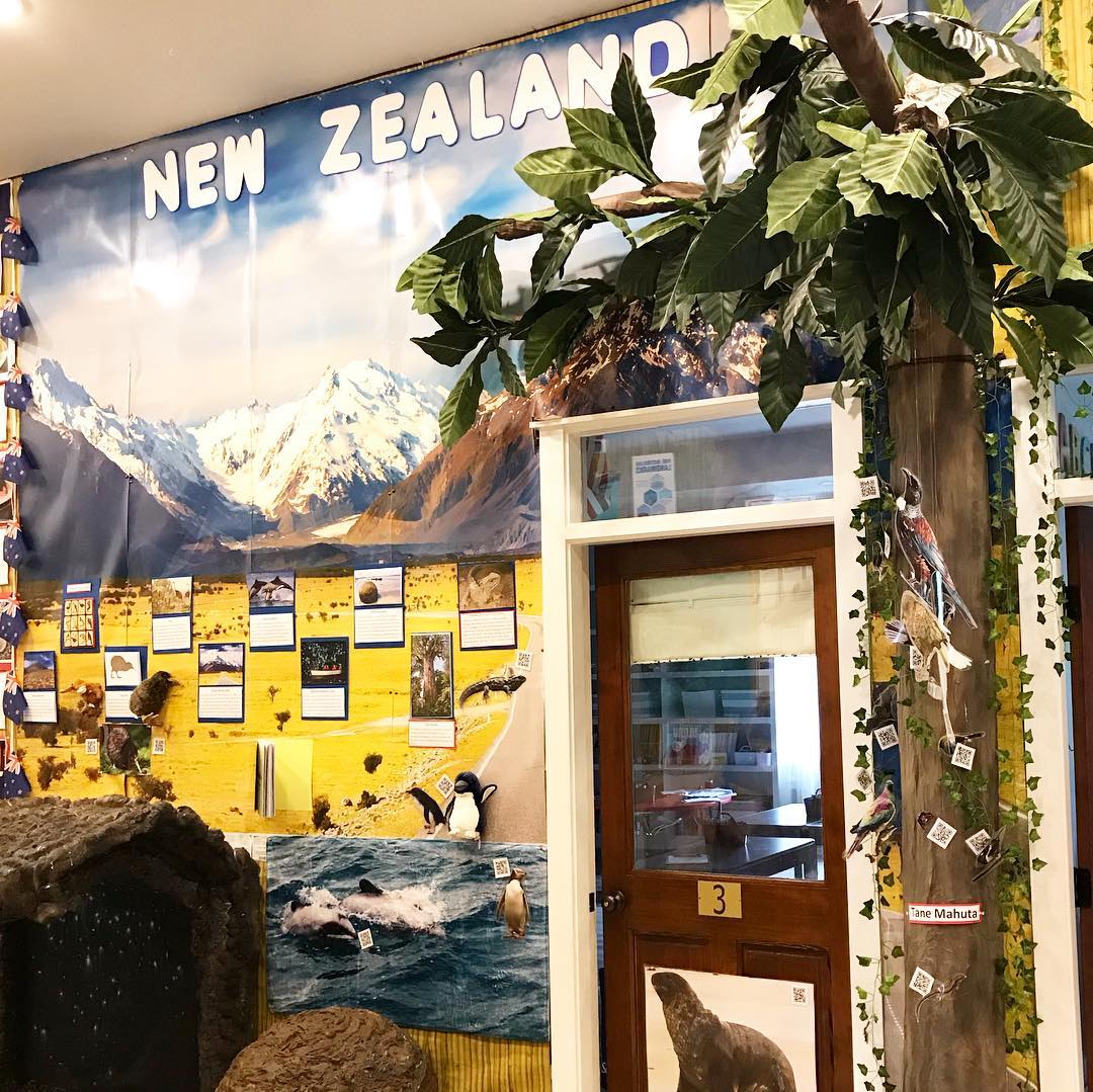 56606346_2203954916309478_3086826943056707584_n