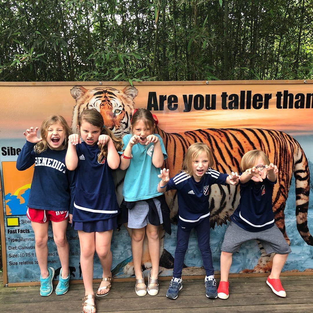 56852745_2209601565744813_7454747153387225088_n